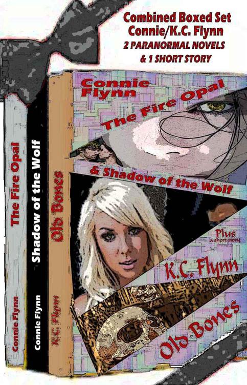 Charlie Parker Mysteries Boxed Set (Books 1-4)