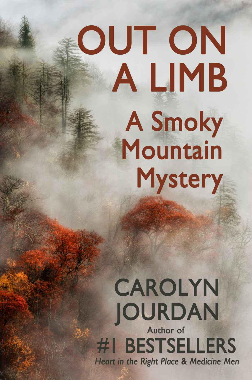 Out on a Limb: A Smoky Mountain Mystery