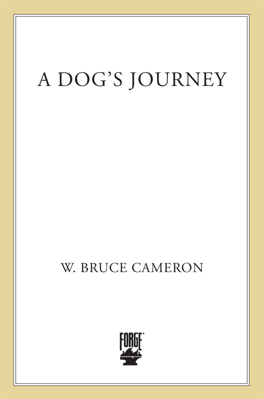 A Dog's Journey
