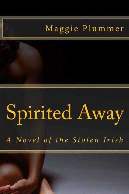 Spirited Away - a Novel of the Stolen Irish