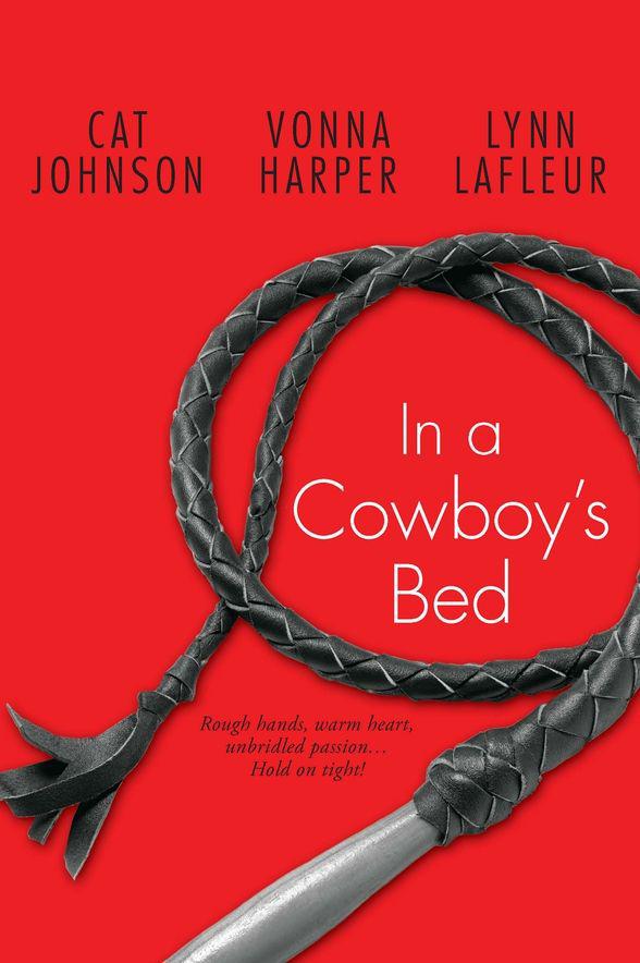 In a Cowboy's Bed