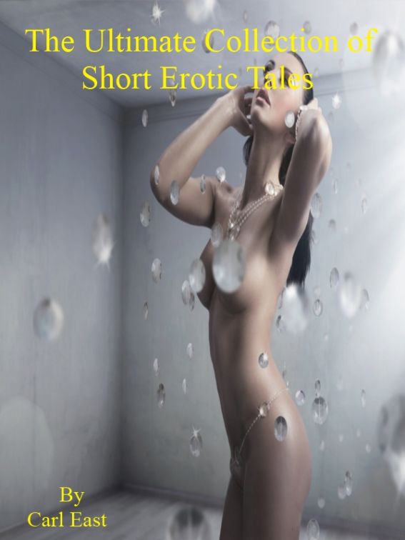 The Ultimate Collection of Short Erotic Tales 2