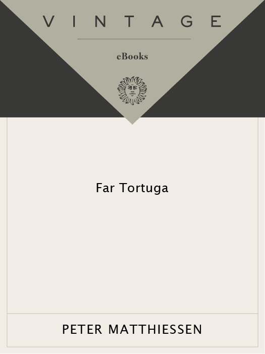 Far Tortuga