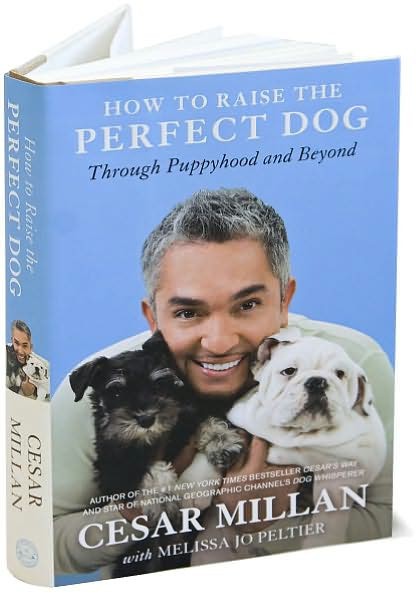 How to Raise the Perfect Dog: Through Puppyhood and Beyond