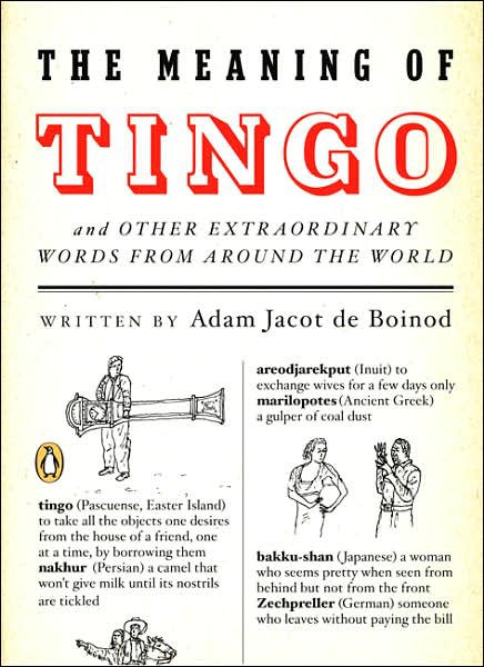 The Meaning of Tingo: And Other Extraordinary Words From Around the World