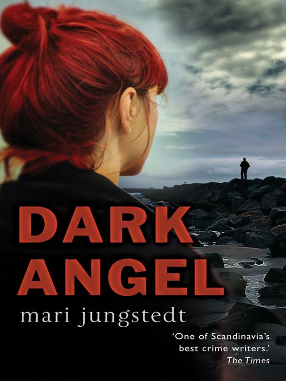 Dark Angel: Anders Knutas Series 6