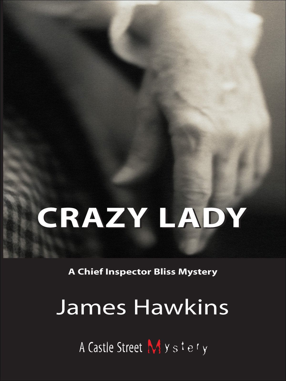 Crazy Lady: An Inspector Bliss Mystery